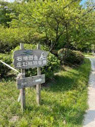 -剑鱼皮划艇俱乐部(石湖基地)