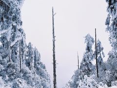 -瓦屋山景区