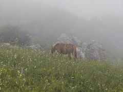 -灵山