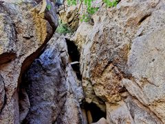 -大岭沟猕猴桃谷风景区