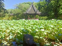 -上海醉白池公园