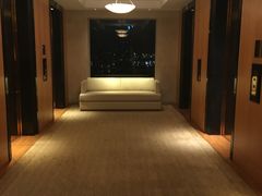 -新加坡丽思卡尔顿美年酒店