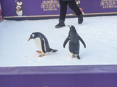 -沈阳奥体冰雪嘉年华