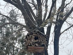 -北京西山国家森林公园