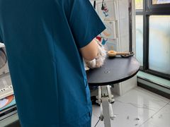-嘉馨宠物医院·CT影像转诊·心脏科·犬猫全科诊疗中心(下沙大学城院区)