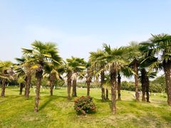 -艾溪湖湿地公园