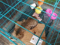 -JUKEBOX玖部音乐餐厅(华侨城店)