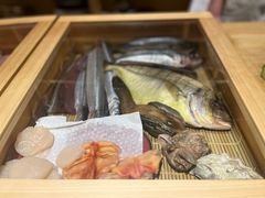 -镹·鱼料理  国产鱼使用店