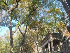 -灵岩山风景区