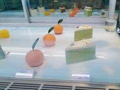 -TD66高山铁皮石斛养生茶饮