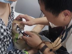 -美联众合爱康动物医院•复杂内科•肿瘤科•牙科•腔镜诊疗中心