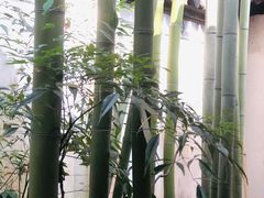 -秋霞圃