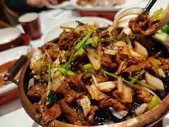 -大鸭梨烤鸭店(花园村店)