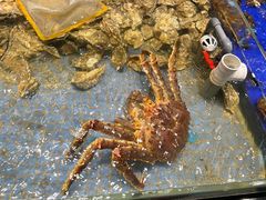 -高佳庄·海鲜酒楼(东港店)