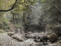 -宁波五龙潭景区