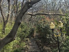 -句容茅山景区