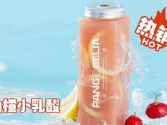 -胖哥俩肉蟹煲(万国店)