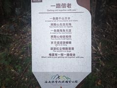 -海南霸王岭国家森林公园