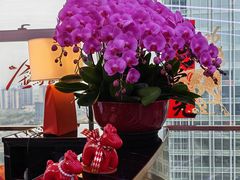 -广州南站丽芮酒店