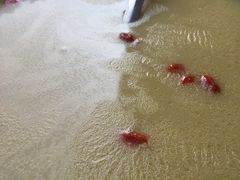 -董厨煨汤馆(车站路店)
