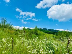 -长白山万达国际度假区