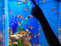 -烟台海昌鲸鲨海洋公园