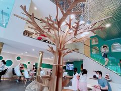 -飞行喵MR PILOT|猫舍·猫咖(静安大融城店)