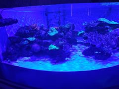 -上和臻品中国菜(花园街店)