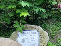 -龙华寺