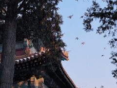 -隆兴寺