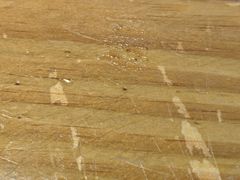 -胡记烧烤(黄山新村总店)