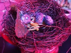 -MOSSO音乐酒吧·live house(南京旗舰店)