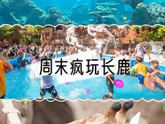 -长鹿旅游休博园