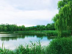 -北坞公园