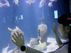 -重庆欢乐海底世界