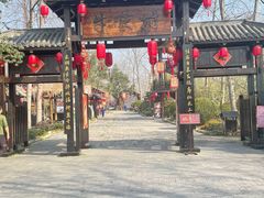 -合肥滨湖国家森林公园