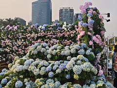 -顺峰山公园