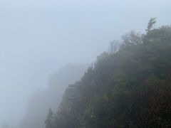 -牛背梁国家森林公园