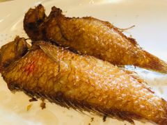 -金穗园·砂锅粥.醉鸡煲火锅(长寿路店)