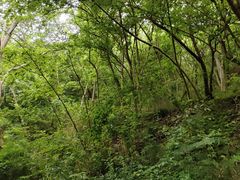 -南山风景名胜区
