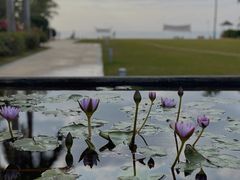 -三亚海棠湾万丽度假酒店