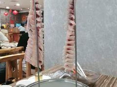-渔意坊·千层无骨鱼粥底火锅·20年顺德菜(普君店)
