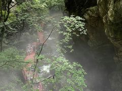 -牛背梁国家森林公园