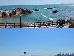 -小麦岛公园