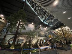 -湖南省地质博物馆