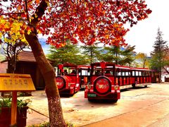 -汉中石门栈道风景区