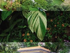 -广州花园酒店