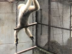 -昆明动物园