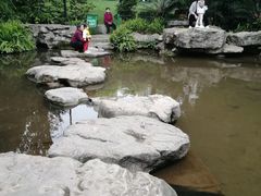 -龙头寺公园