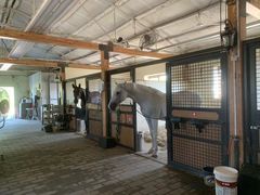 -北京群众马术培训基地